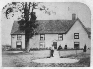Clipt Bushes 1877