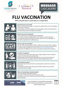 Flu Vacc Infographic
